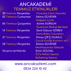 TEMMUZ ANCAKADEMİ Koçluk Eğitimleri | Danışmanlıklar